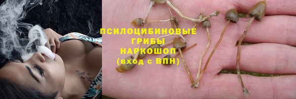 стафф Баксан