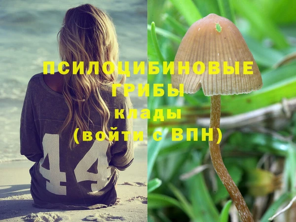 спайс Балахна