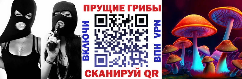 Псилоцибиновые грибы MAGIC MUSHROOMS  Купить где  Новый Оскол 